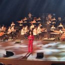 안산시립예술단 특별기획공연 잼버리 환영 음악회 네이버블로그