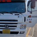 안중카케리어 이미지