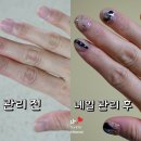 햄스 케어