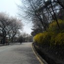 팔달공원 이미지