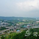 용인양계 이미지