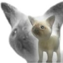 네모네모 이미지