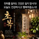 움막 이미지