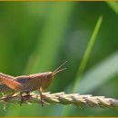 스마트폰 마스터클래스 이미지