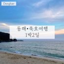 강원도 동해 묵호여행 1박2일 뚜벅이 코스 | 동해숙소 파인앤유오션시티