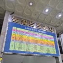 뉴월드프라자 이미지