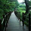 호성계곡 이미지