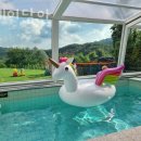 스테이 담아 이미지