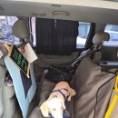 행복펫택시 이미지