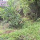 무주읍124 이미지