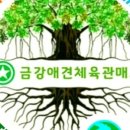 뛰댕길겨 미용할겨 2호점 | #애견매트시공#애견유치원매트시공#체육관매트시공#관공서체육실매트시공#층간소음#애견미용놀이터