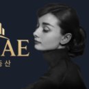 대성종합마트 이미지