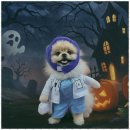 놀루오숑 이미지