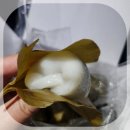 의령시장 의령망개떡 맛집 남산떡방앗간 가격 보관방법 전국택배가능