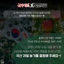 화이팅과일