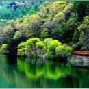 * 진실의 적은 거짓이 아니라 신화다 * 출처: 신동기 著 『생각 여행』에서 이미지