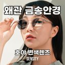 금송안경콘택트 이미지