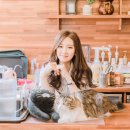 고양이정원 이미지