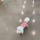 수다다카페 이미지
