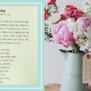 책방윤슬 이미지