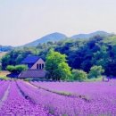 퍼플여행 이미지