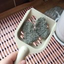 오원석 황금동물병원 이미지