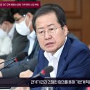 홍준표 대구시장 대구경북 통합신공항 기본계획 수립 완료 뉴스114TV 이미지