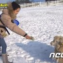 하늘목장 이미지