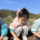 하늘공원🍁&농원활동🧑‍🌾 이미지