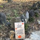 성산 애견농장 이미지