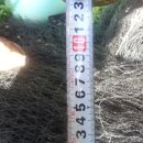 여주-0182 이미지