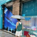 두대교사거리 | 오키나와 북부투어 예약후기 츄라우미 수족관, 만좌모, 코우리대교 DAY3