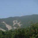 금오산 이미지