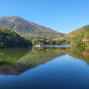 맥도날드초읍DT점 이미지