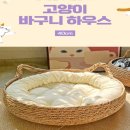 엔케이펫