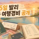 에코퓨리 | 인도네시아 발리 15박 17일 자유여행 경비 정리