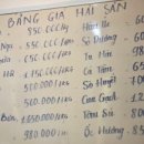 동방3호 이미지