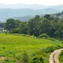 용인자연휴양림 이미지