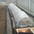 명심농장 이미지