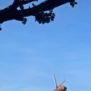 자킨토스A 이미지