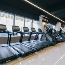 짐샤크 하안점 이미지