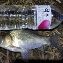 남방낚시터 이미지