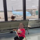 김포건강랜드 | 상해여행 대한항공 김포-홍차오 KE2057, 푸동-인천 KE888 노선 기내식, 차일드밀 후기