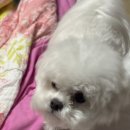 먹꼬먹꼬 이미지