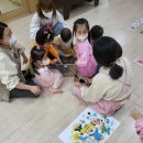 애견훈련소 보담 이미지