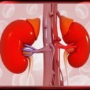 서울현대병원 이미지