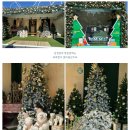 나눔공원 게이트볼장 | [대전 축제] 유림공원에서 진행하는 유성온천 크리스마스 축제🎄 (첫째 날 낮에 다녀온 후기)