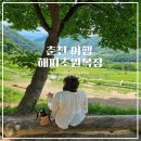 춘천호 | 춘천여행 양떼목장 해피초원목장 춘천호 포토명소