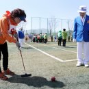 게이트볼 이미지