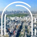 일본 여행 시부야스카이 예약 꿀팁, 일몰시간, 방문후기